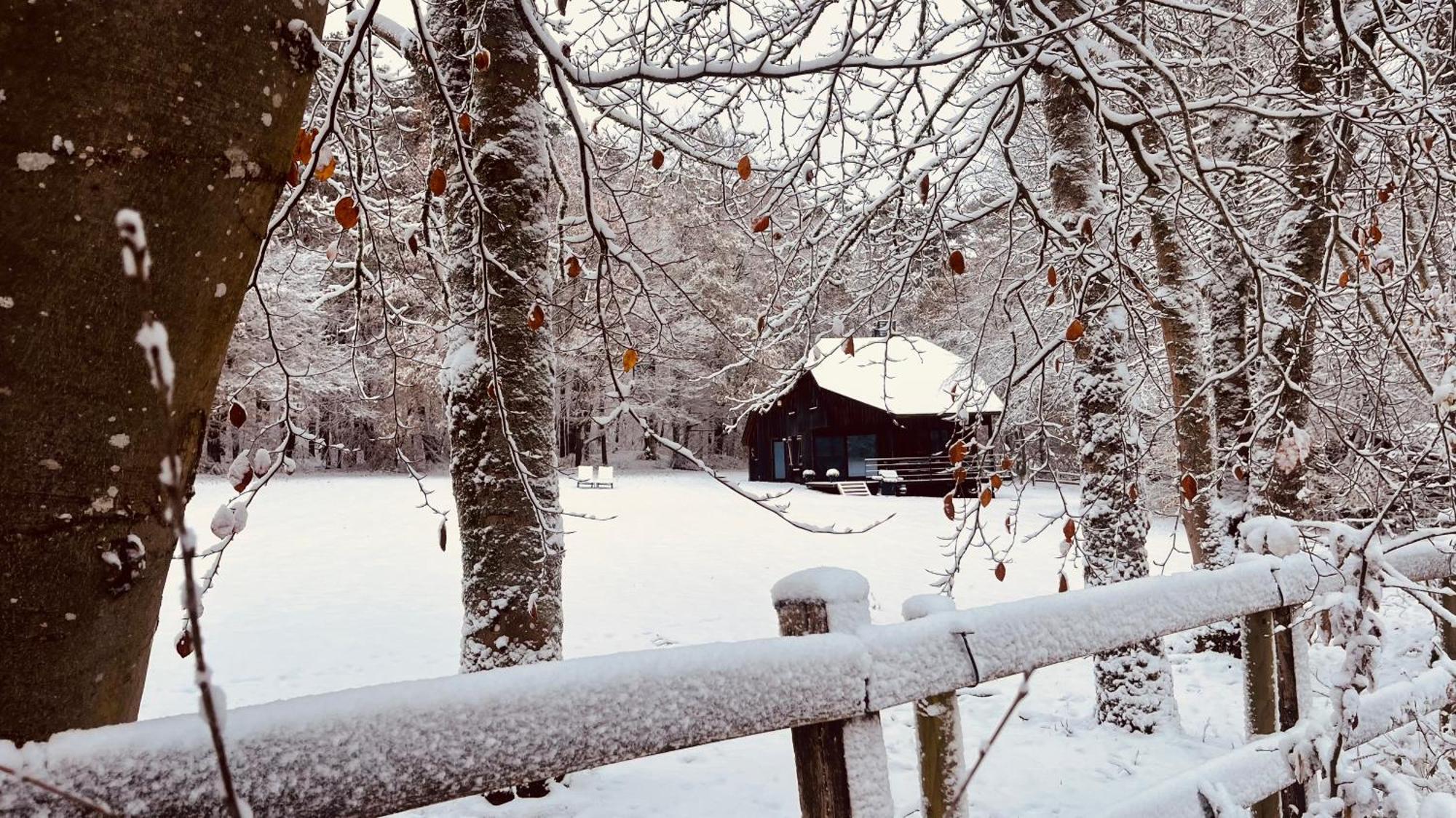 La Cabane D'Amae Marche-en-Famenne Extérieur photo